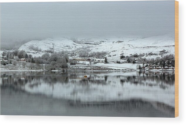 Snow Wood Print featuring the photograph A Winter's Scene by Lynn Bolt