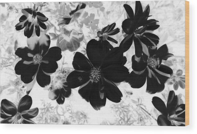 Abstract Photography Wood Print featuring the photograph Abstract Flowers 4 by Kim Galluzzo Wozniak
