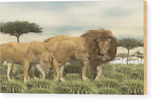 African Lion Pride Wood Print featuring the painting African Lion Pride by Walter Colvin