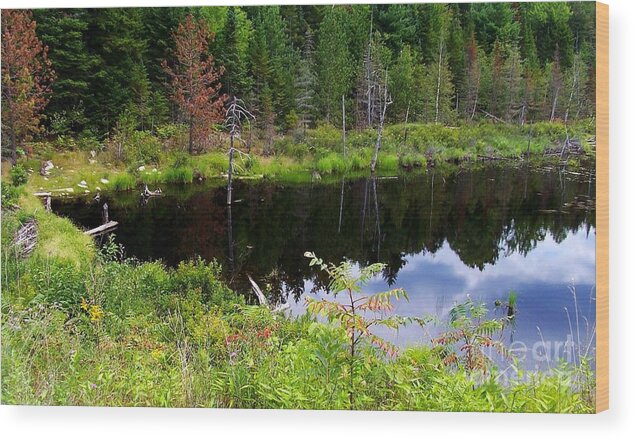 Vivid Green Wood Print featuring the photograph Beaver Pond 1 by Peggy Miller