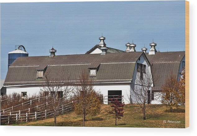 Barns Wood Print featuring the photograph Boys Town Farm by Ed Peterson