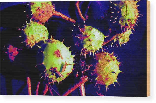 Chestnut Wood Print featuring the painting Chestnut pods 1 by Renate Wesley