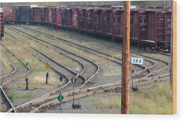 Train Wood Print featuring the photograph Choices by Susan Stephenson