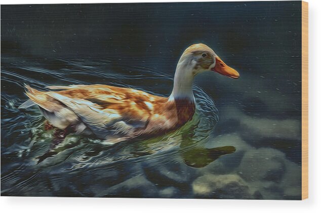 Indian Runner Duck Wood Print featuring the photograph Dabbling in Blue Waters by Bill and Linda Tiepelman