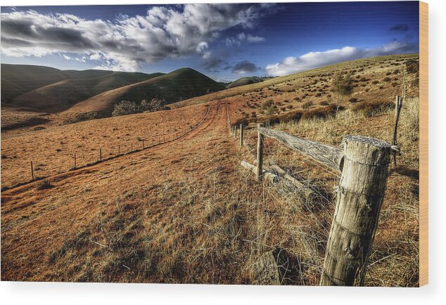 Landscape Wood Print featuring the photograph Fencelines by Wayne Sherriff