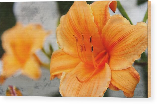 Lily Wood Print featuring the photograph Garden Lily by Davandra Cribbie
