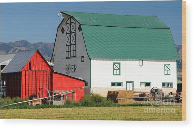 Green Wood Print featuring the photograph Green Barn in Southern Idaho by Gary Whitton