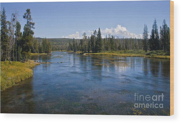 River Wood Print featuring the photograph Henry Fork Of The Snake River by Robert Bales