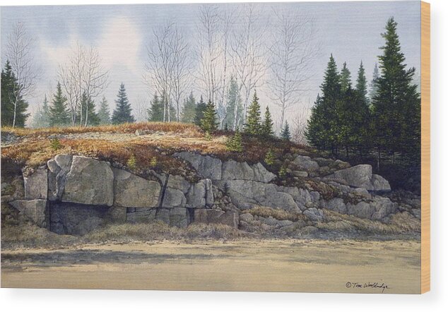 Landscape Wood Print featuring the painting Jonesboro Cut by Tom Wooldridge