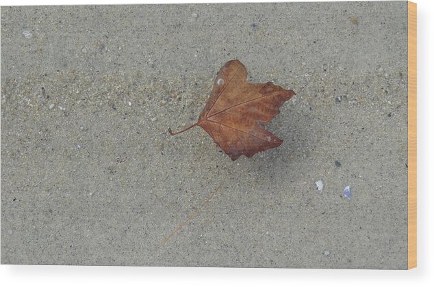 Leaf Wood Print featuring the photograph Leaf Afloat by Jessica Cruz