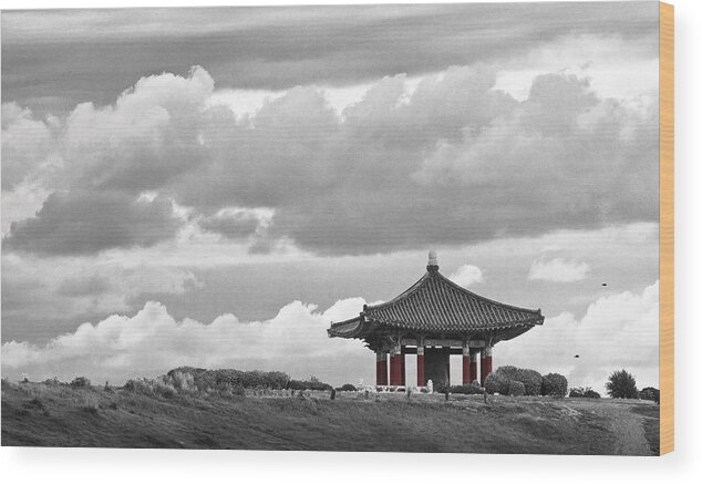 Korea Wood Print featuring the photograph Looks Like Korea by Kevin Bergen