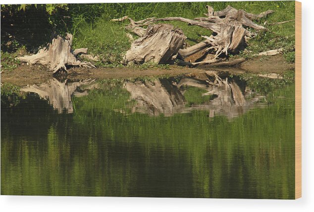 Lake Wood Print featuring the photograph Mirror Images by Wanda Brandon