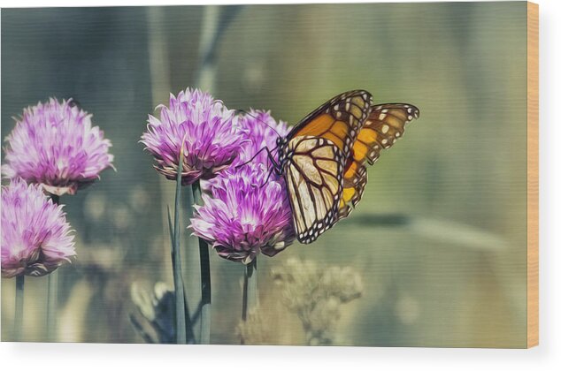 Butterfly Wood Print featuring the photograph Moody Monarch by Bill and Linda Tiepelman