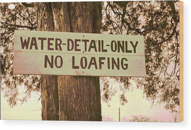 No Loafing Wood Print featuring the photograph No Loafing by Padre Art
