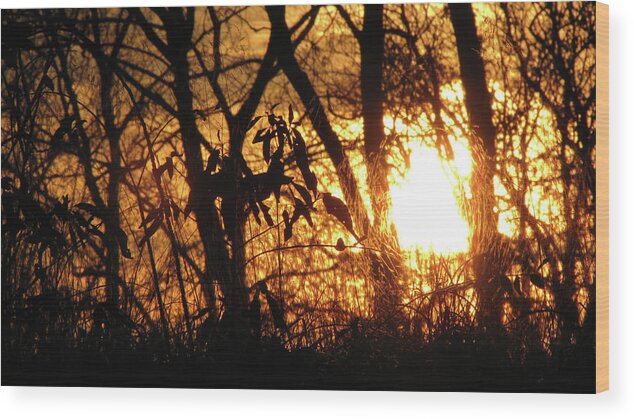 Landscape Wood Print featuring the photograph Ribbons of Light II by Amy Tyler