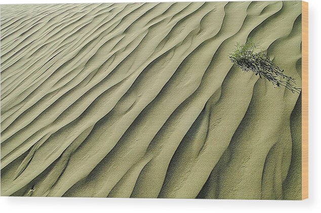 Sand Wood Print featuring the photograph Sands of Time by Blair Wainman