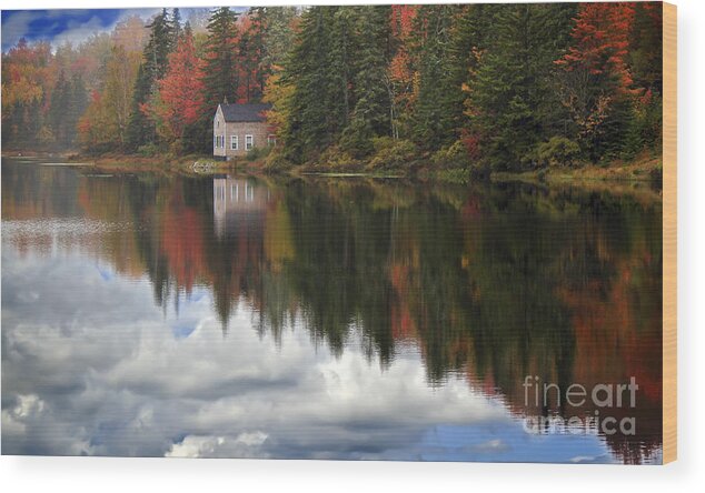 Maine Wood Print featuring the photograph The Color of Music by Brenda Giasson