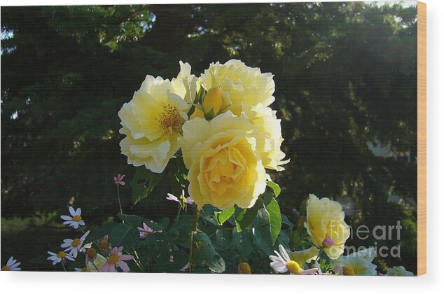 Flowers Roses Gardening Horticulture Plants Wood Print featuring the photograph Topaz Jewel by Jim Sauchyn