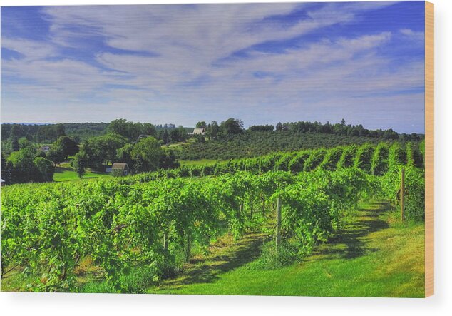 Grapes Wood Print featuring the photograph Vinyard View by Coby Cooper