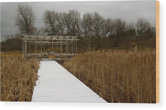 Winter Wood Print featuring the photograph Winter Boardwalk by Azthet Photography