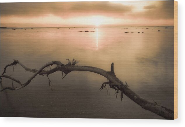 Sunset Wood Print featuring the photograph Zen by Jason Naudi Jason