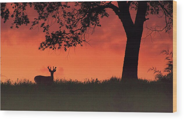 Sunset Wood Print featuring the photograph After the sunset #1 by Rima Biswas