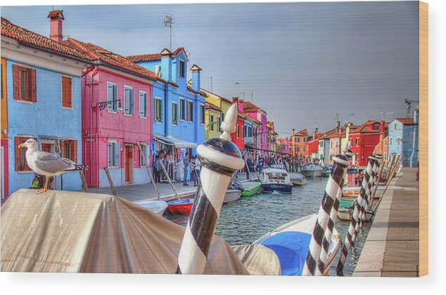 Burano Venice Italy Wood Print featuring the photograph Burano Venice Italy #1 by Paul James Bannerman