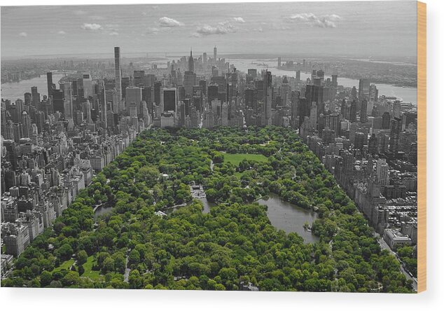 Central Park Wood Print featuring the photograph Concrete Jungle #1 by Rand Ningali