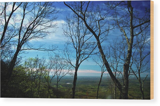 View Wood Print featuring the photograph North Georgia View by George Taylor