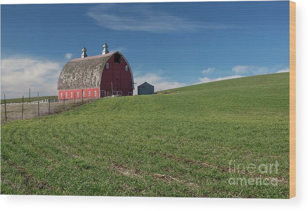 Early Spring Wood Print featuring the photograph Old Red #1 by Idaho Scenic Images Linda Lantzy