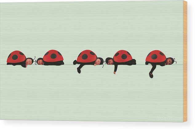 Ladybugs Wood Print featuring the photograph Ladybugs by Anne Geddes