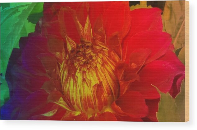 Texture Wood Print featuring the photograph Textured Dahlia #1 by Nilu Mishra