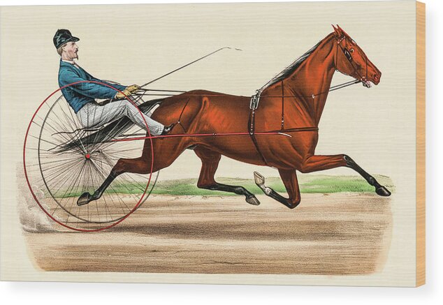 Cape May Wood Print featuring the photograph Victorian Jockey by David Letts