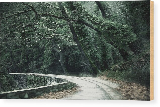 Forest Wood Print featuring the photograph Forest #18 by Mariel Mcmeeking