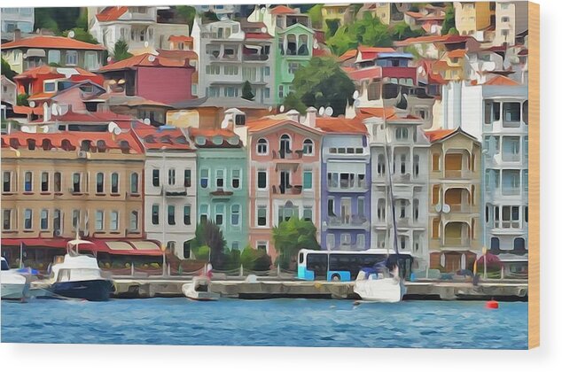 Istanbul Wood Print featuring the photograph On the Bosphorus #2 by Lisa Dunn