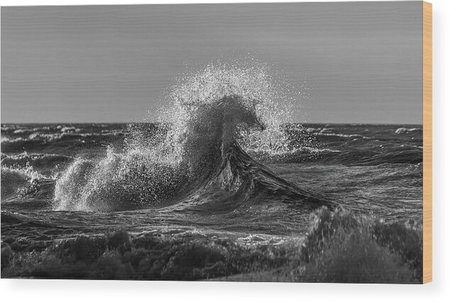 Lake Erie Wood Print featuring the photograph Lake Erie Waves #3 by Dave Niedbala