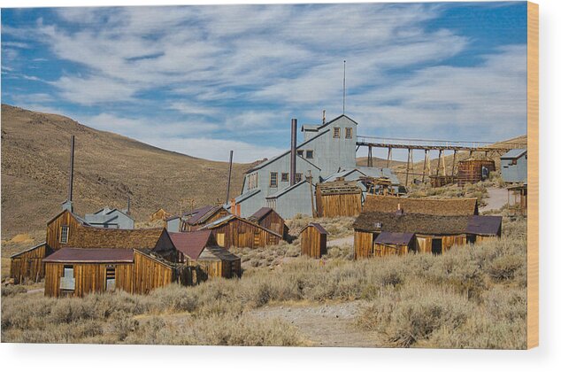 Bodie Wood Print featuring the photograph Nonverbal #38 by Steven Lapkin