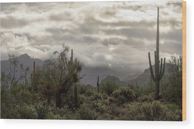 Fog Wood Print featuring the photograph A Foggy Desert Morning by Saija Lehtonen