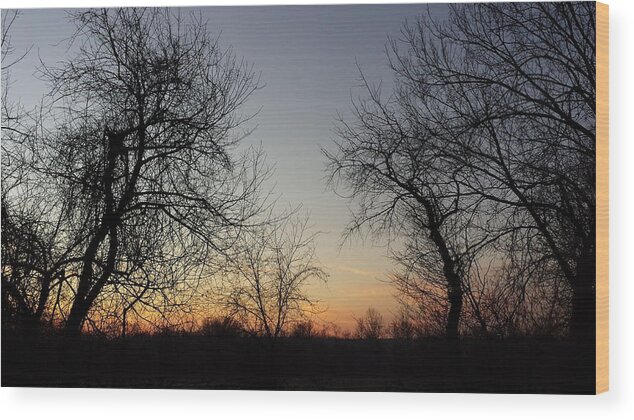 Every Day Is A New Opportunity For New Beginnings Wood Print featuring the painting A New Day Dawning by Margaret Welsh Willowsilk