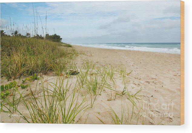 Shore Wood Print featuring the photograph A Peaceful Place by the Sea by Michelle Constantine