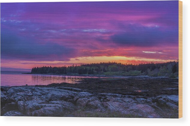 Mount Desert Island Wood Print featuring the photograph Acadian Nights by Holly Ross