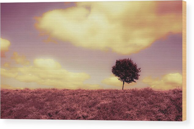 Yellow Clouds Wood Print featuring the photograph Amethyst Skies by Karl Anderson