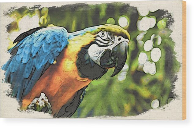 Macaw Wood Print featuring the photograph Art in Moku Hanga Style by Cameron Wood