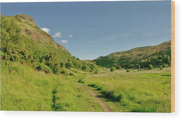 Edinburgh Wood Print featuring the photograph At the base of the ancient volcano. by Elena Perelman
