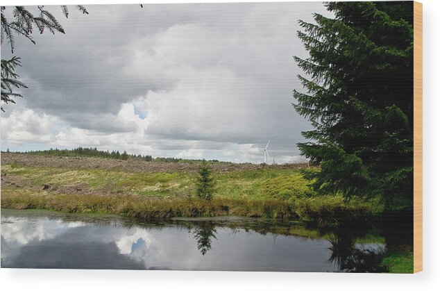Felling Wood Print featuring the photograph At the edge of felling. by Elena Perelman