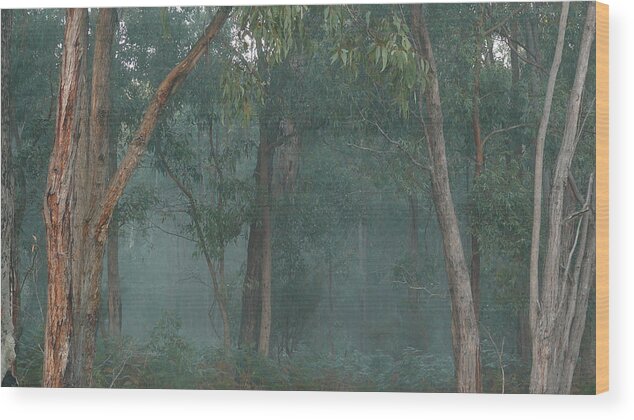 Australia Wood Print featuring the photograph Australian Morning by Evelyn Tambour