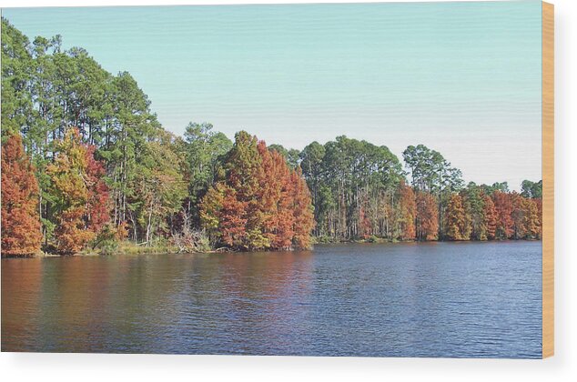 Autumn Colors Wood Print featuring the photograph Autumn Color at Ratcliff Lake by Jayne Wilson