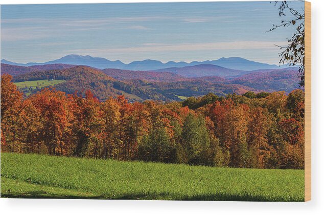Autumn Wood Print featuring the photograph Autumn Vista by Tim Kirchoff