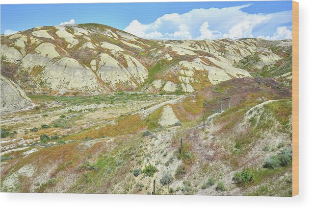Wyoming Wood Print featuring the photograph Badlands of Wyoming by Ray Mathis