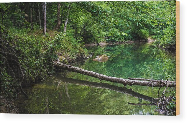 Lilly Wood Print featuring the photograph Bankhead Blue Hole Reflections by James-Allen
